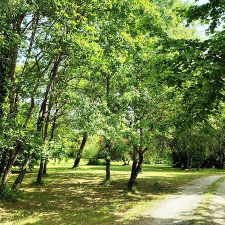 Chambre D'Hotes Le Moulin De Moulis エクステリア 写真
