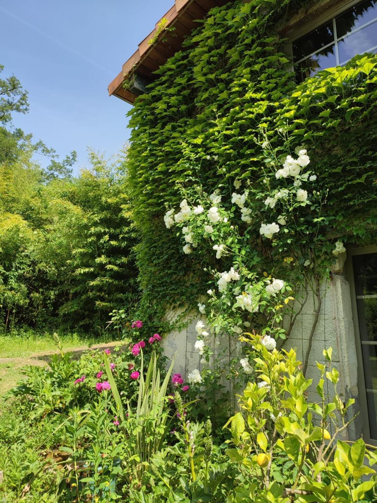 Chambre D'Hotes Le Moulin De Moulis エクステリア 写真