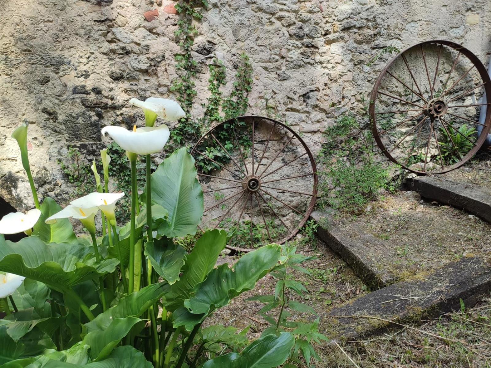 Chambre D'Hotes Le Moulin De Moulis エクステリア 写真