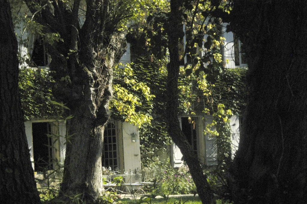 Chambre D'Hotes Le Moulin De Moulis エクステリア 写真